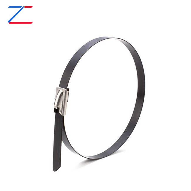 Why Choose Coated Stainless Steel Cable Ties?